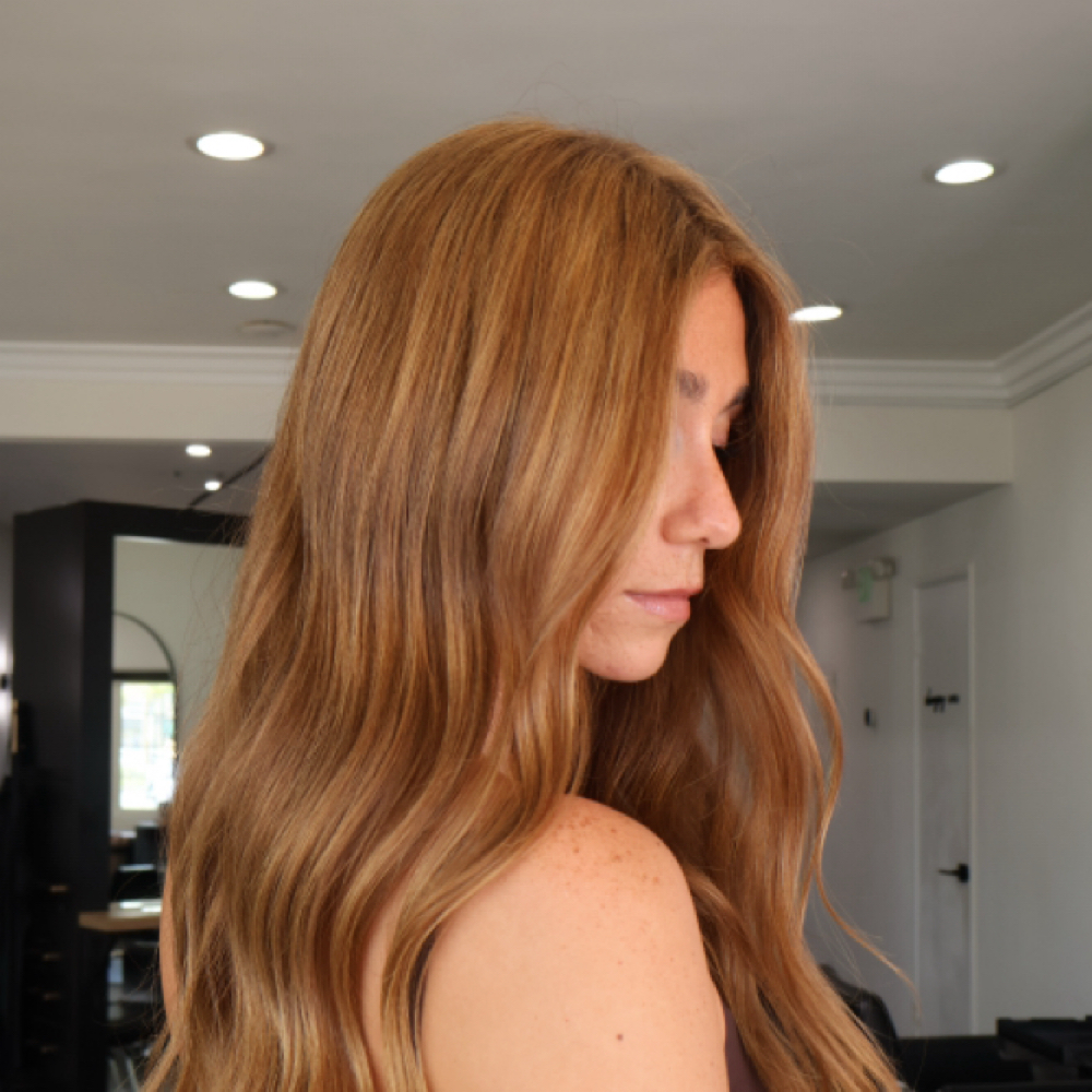 Full Highlight at elise troncoso hair in Brea, CA