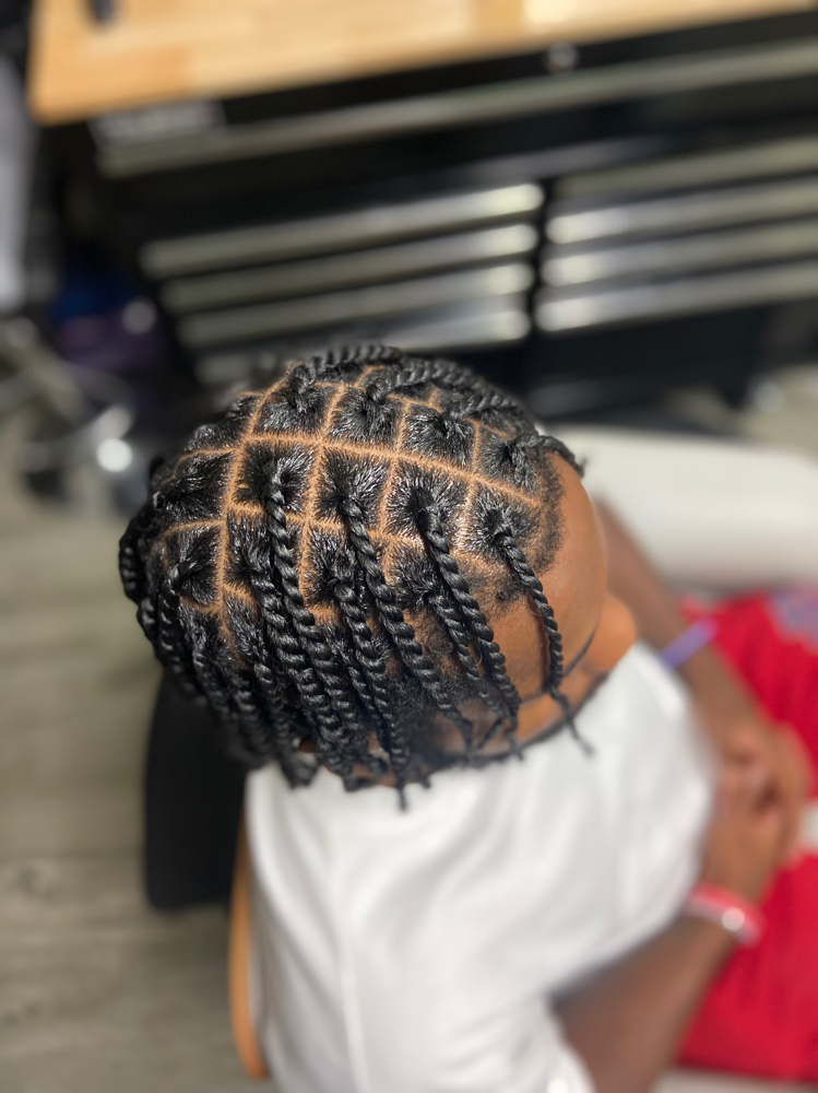 Two Strand Twist