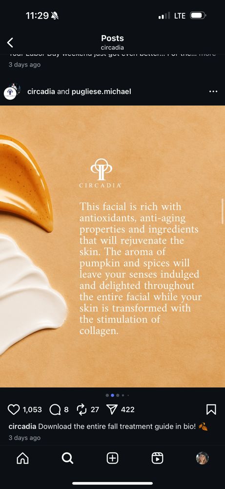 Pumpkin Whip Facial