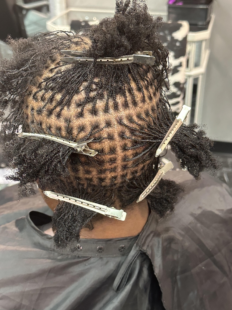 Micro Locs/Twist Start Up