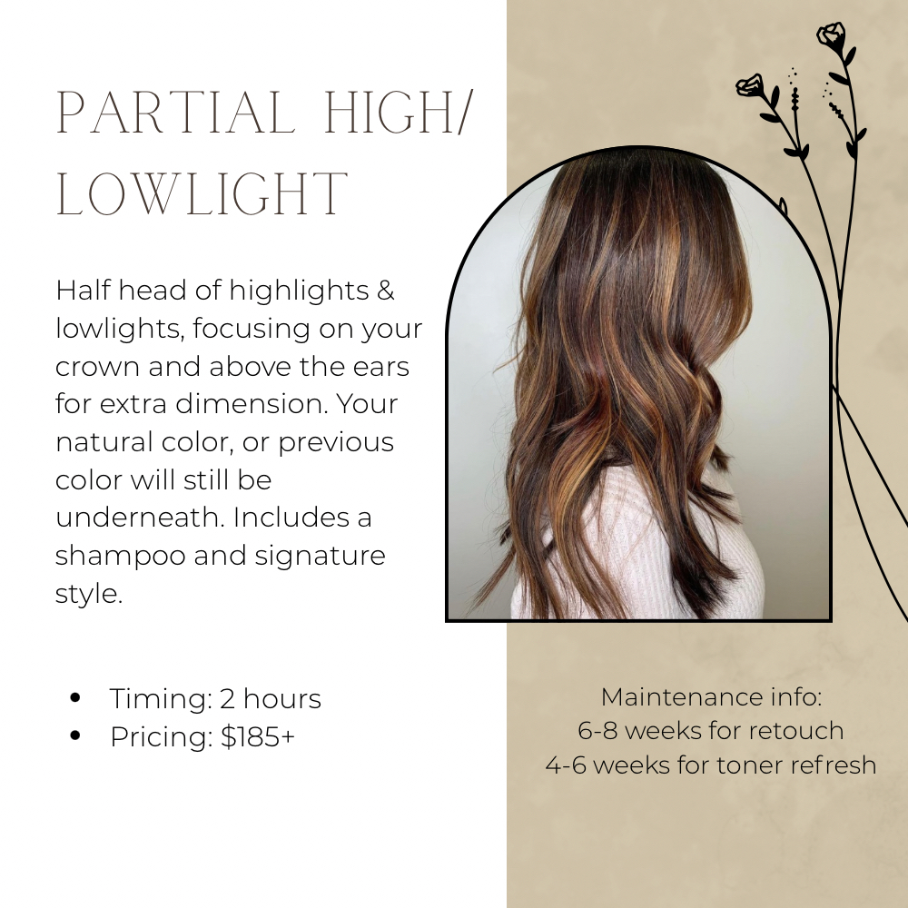 Partial Highlight/Lowlight at Carley’s Color Lounge in Fort Worth, TX