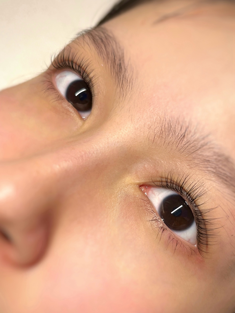 Korean Lash Lift