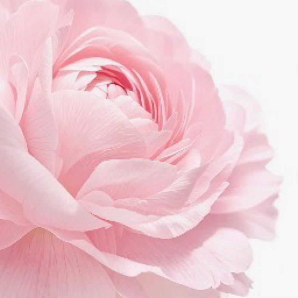 Reverse & Renew Peel at Eden Aesthetics & Waxing in Bluffton, SC