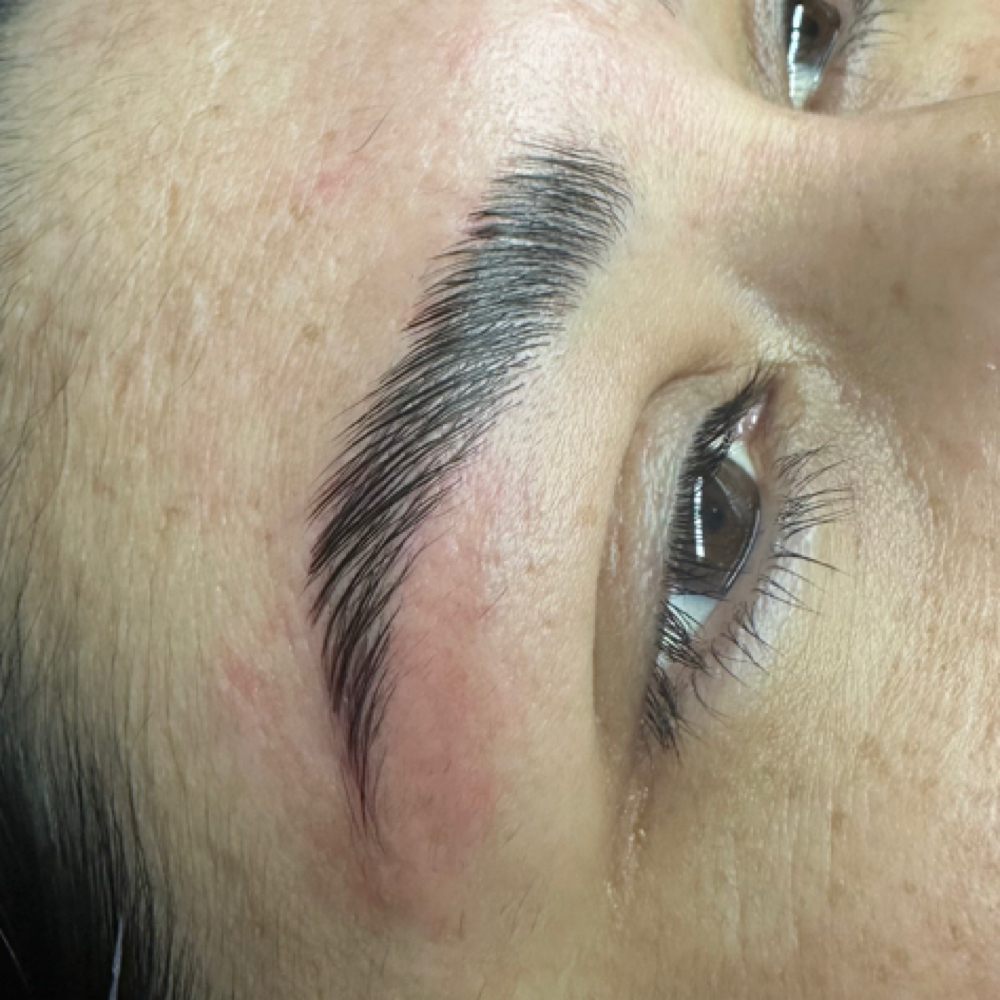 BrowLaminate+wax/ Laminado De Cejas at Bonitalashes.gg in Gorham, ME