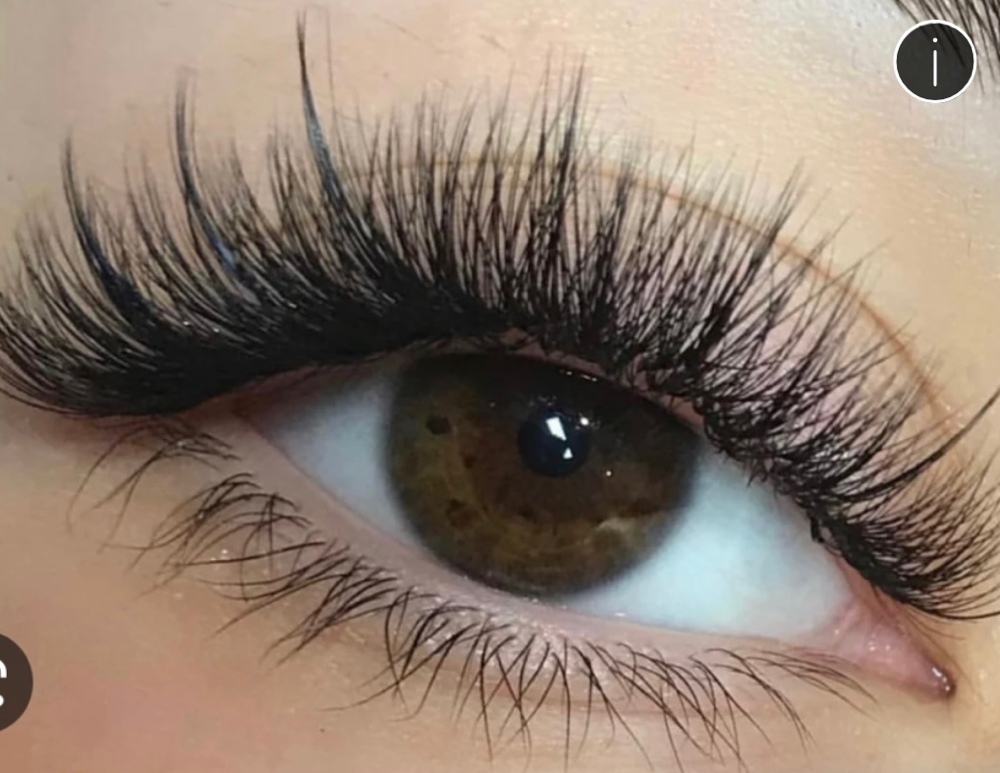 Hybrid Lash 2 Week Fill