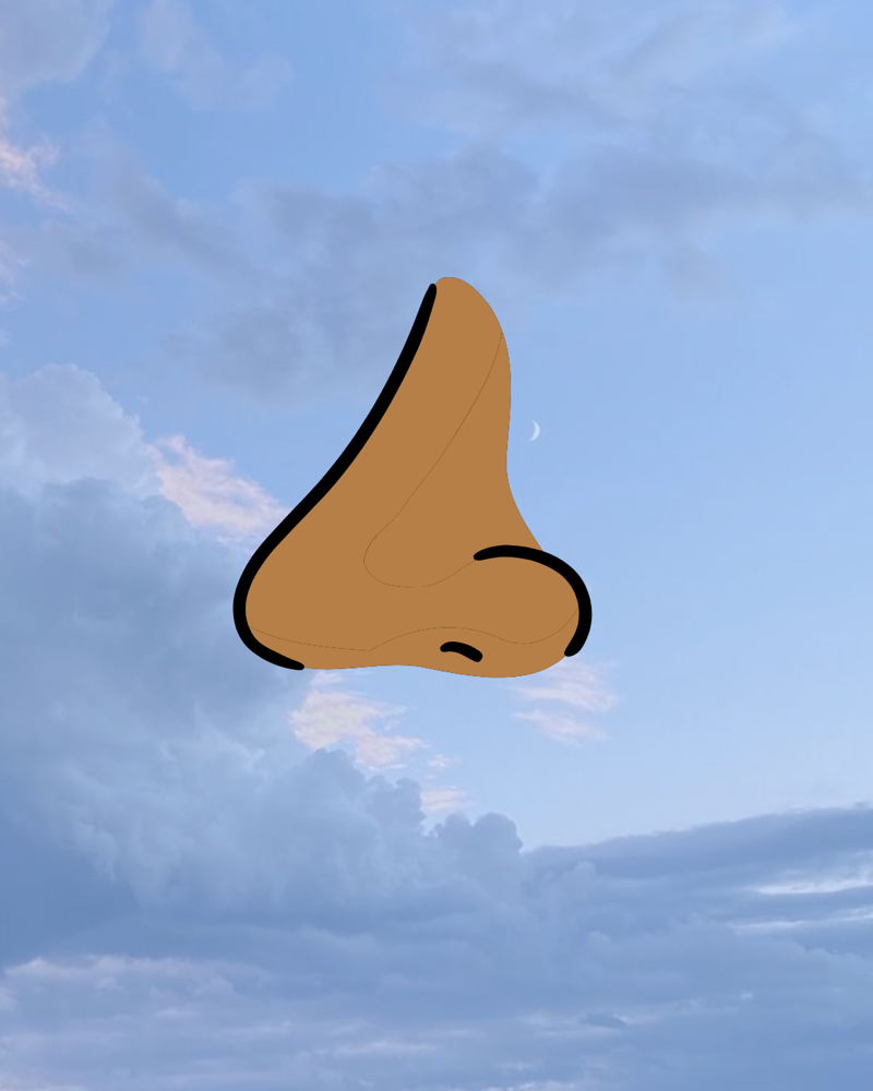 Nose