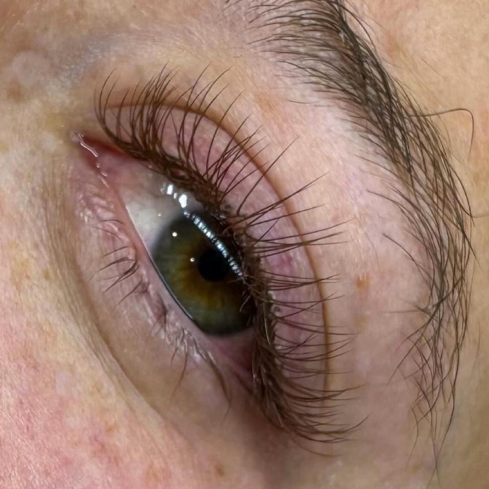 2 Week Natural Fill at Lashed Society in South Jordan, UT