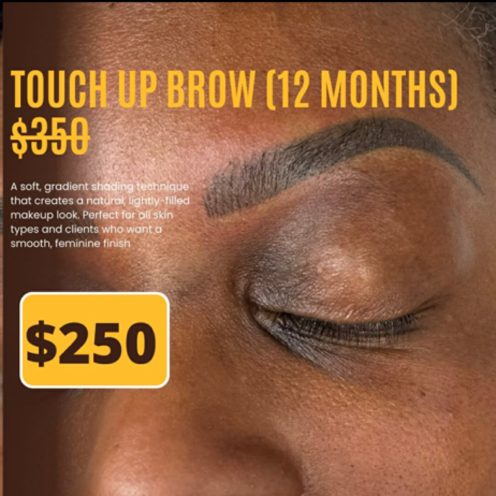 Brows Touch Up ( 6 To 12 Months) at Moon Brows Beauty in Durham, NC