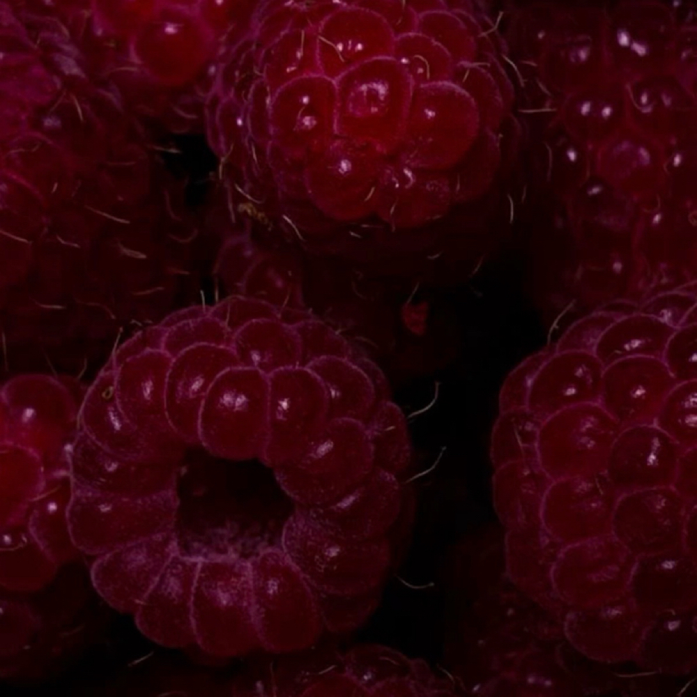 Light Therapy at Velvet Skin Esthetics in Pocatello, ID