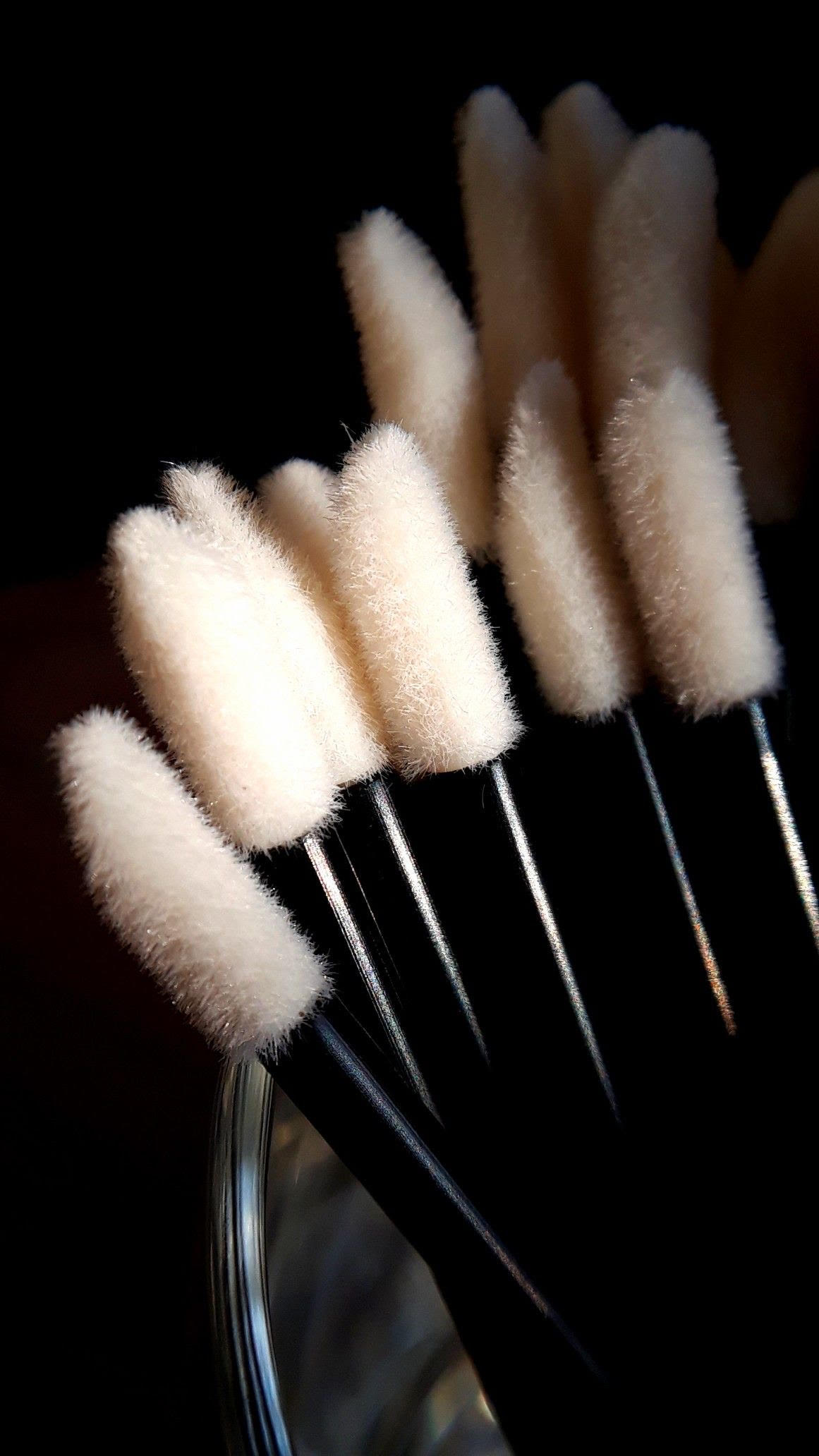 Brow Services