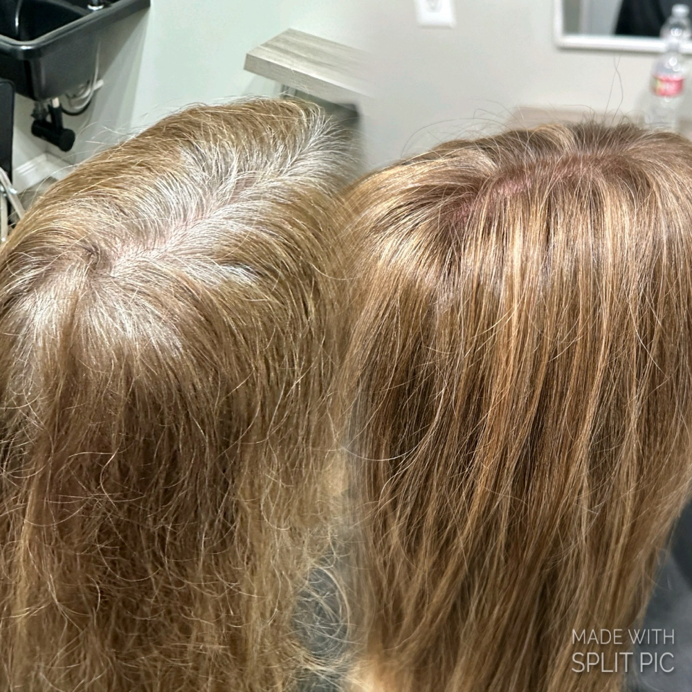 Root Touch Up