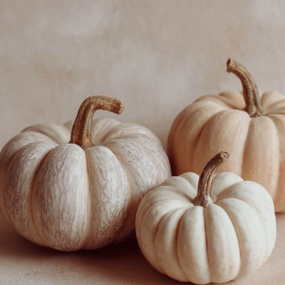 Pumpkin Cream Facial at Belle Lana Beauty in Fountain Valley, CA