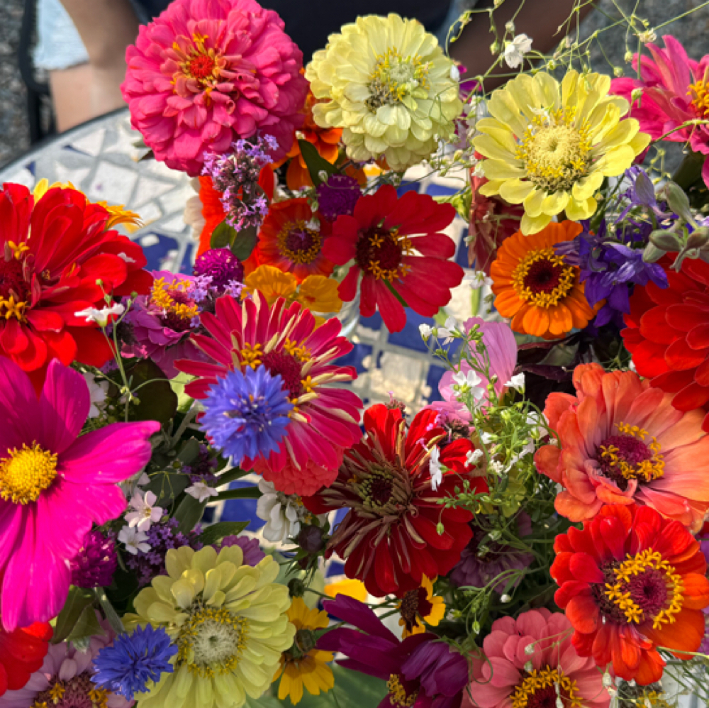 Garden Journey Massage at Klay Therapeutic Massage in Plymouth, MA