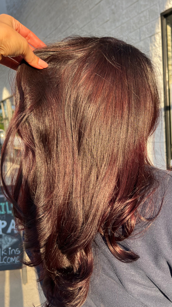 Root Touch Up