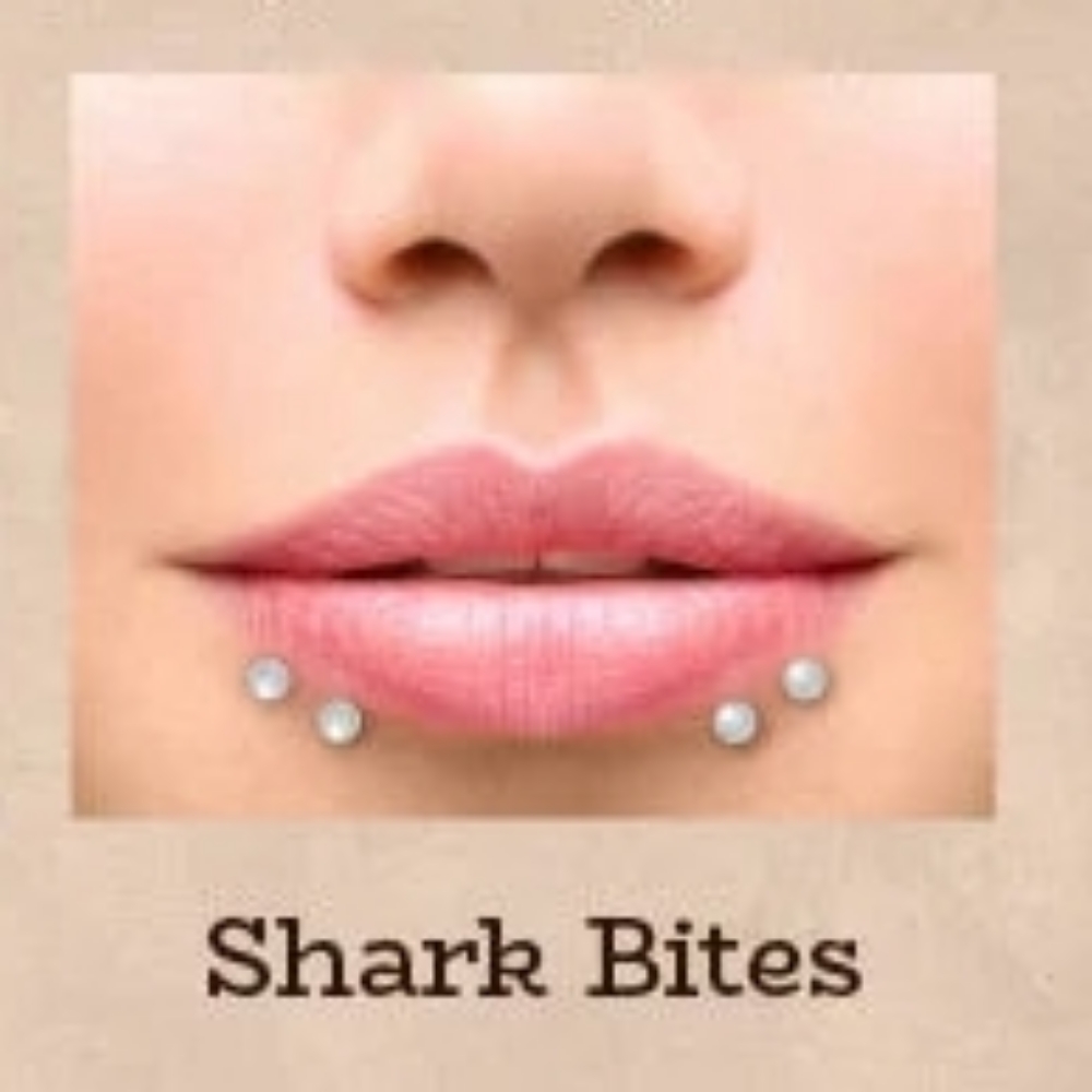 Shark Bites(4) at Piercings By Autumn in New Castle, PA