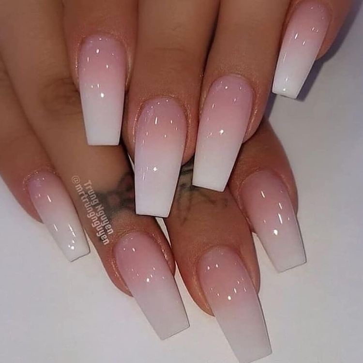 Pink + White