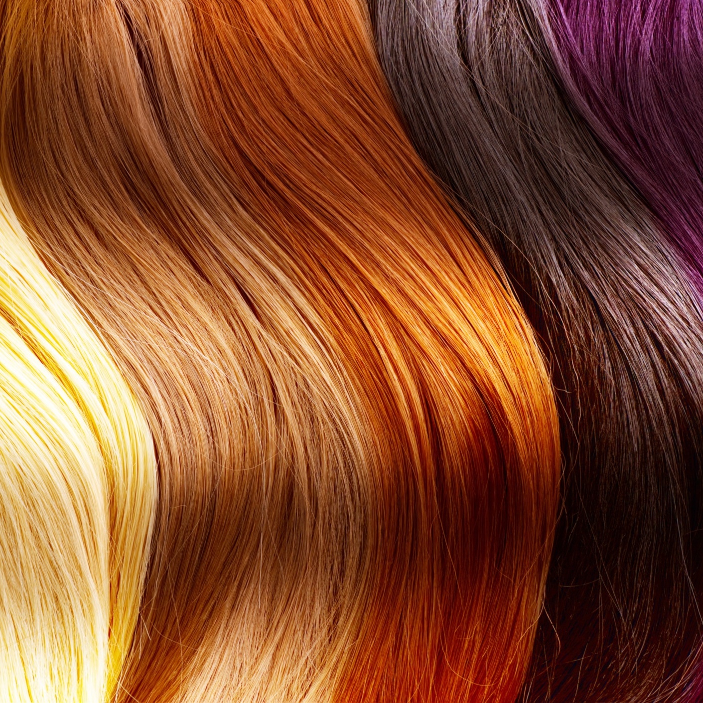 Hi light / Low light - Partial