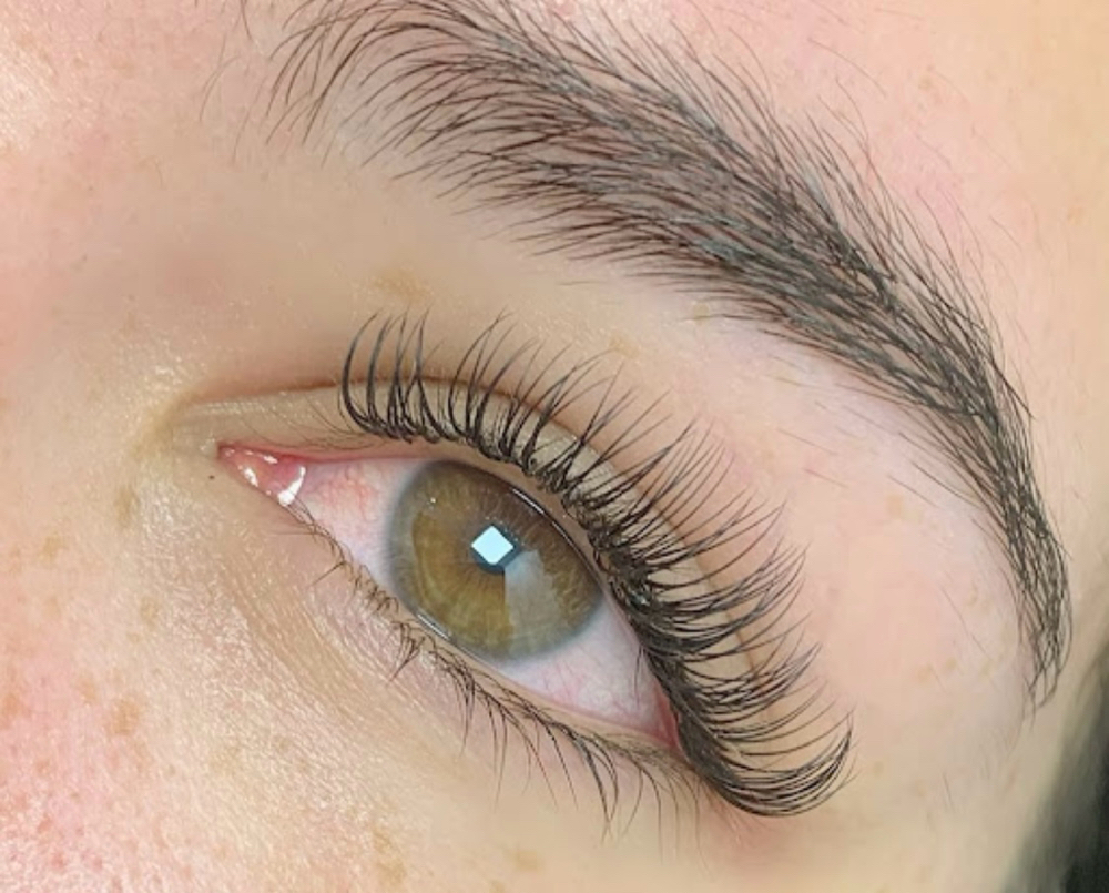 Classic Eyelashes