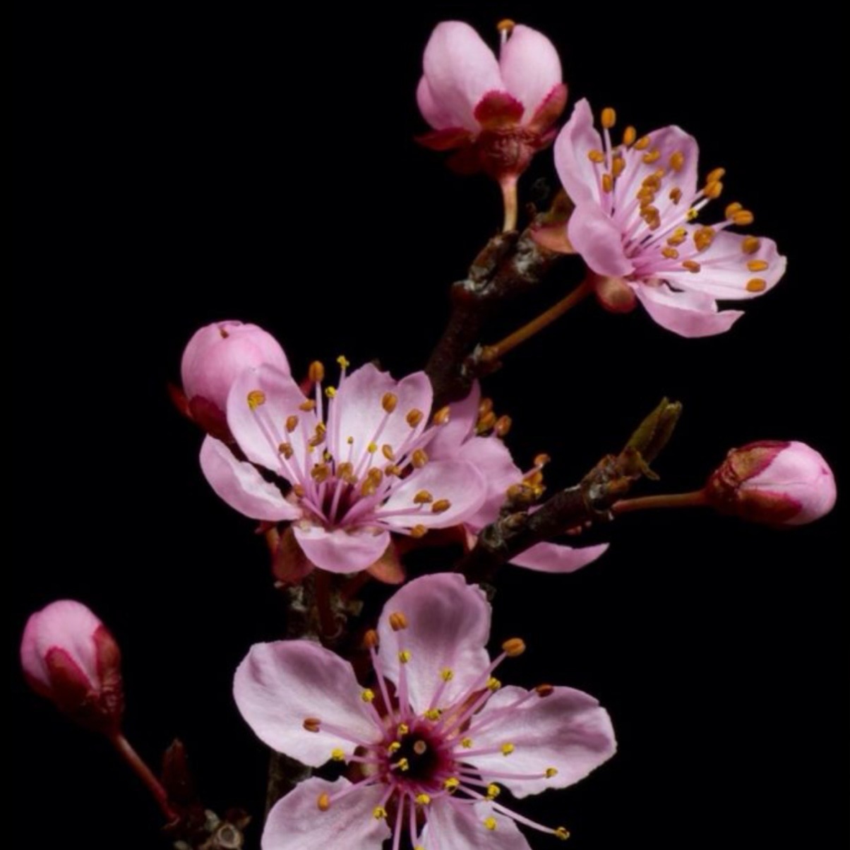 Hair Tinsel Installation at JR Hair Co. in Lincoln, NE