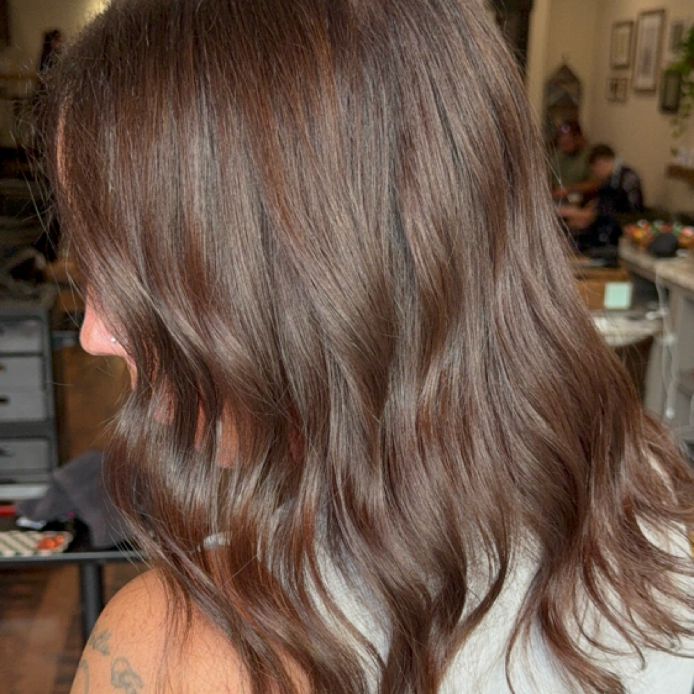 Full Color at Hair By Bishins in Southington, CT