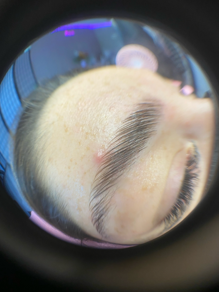 Brow Clean Up 🫧