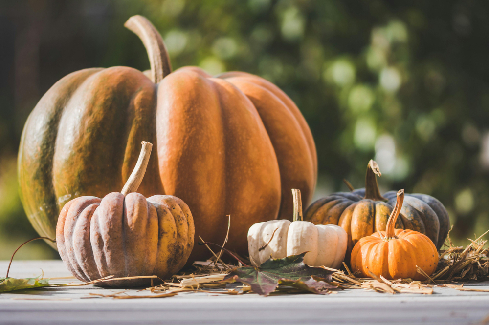 Limited Edition Pumpkin Facial