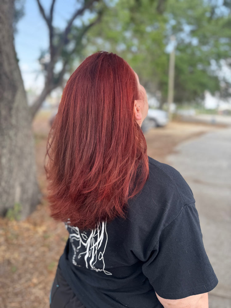 Color, Trim & Style Package