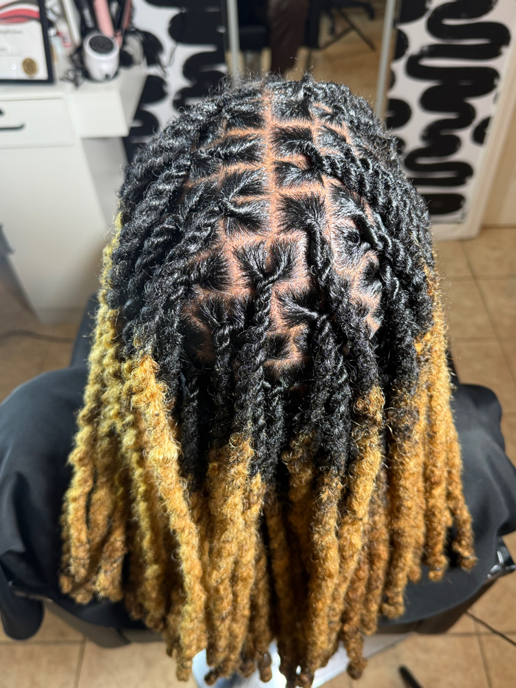 ADD ON: Two strand twists LOCS ONLY