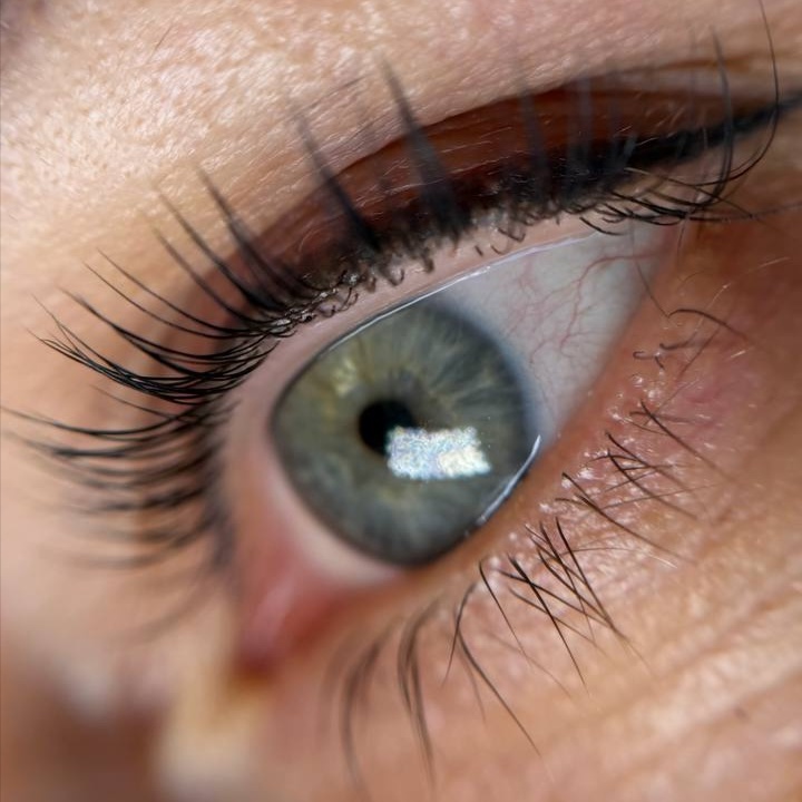 Lash Lamination with Tint at The Lash Atelier in Bolingbrook, IL