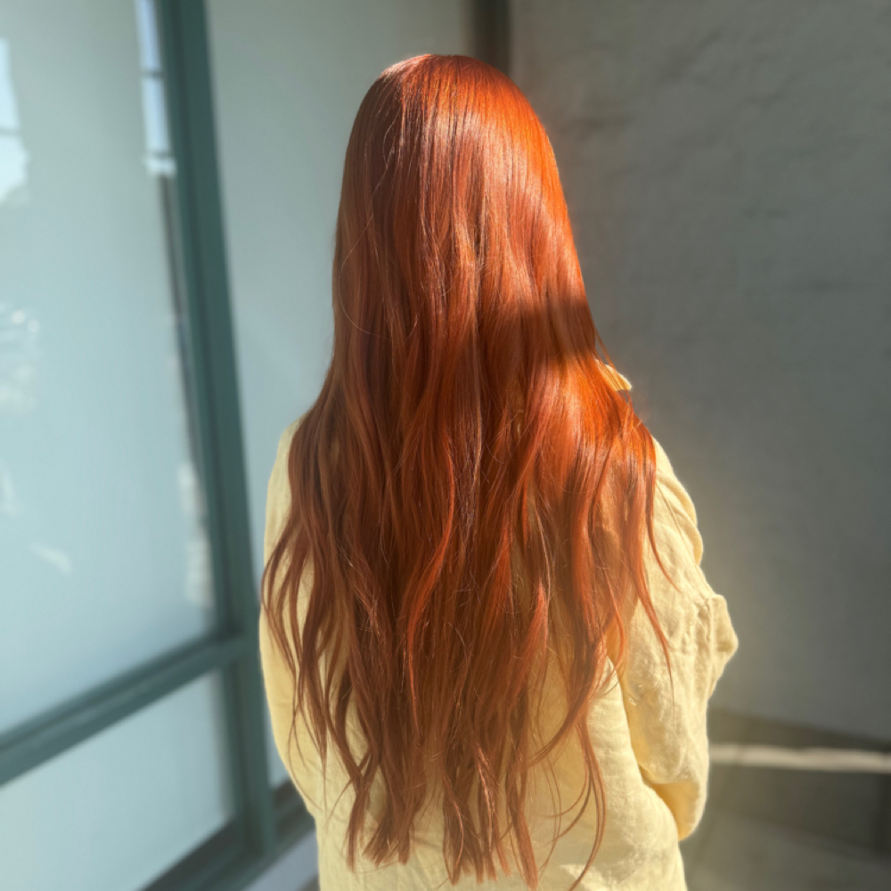 Full Color (or Glaze) With Haircut at Greenhaus Hair Studio in Campbell, CA