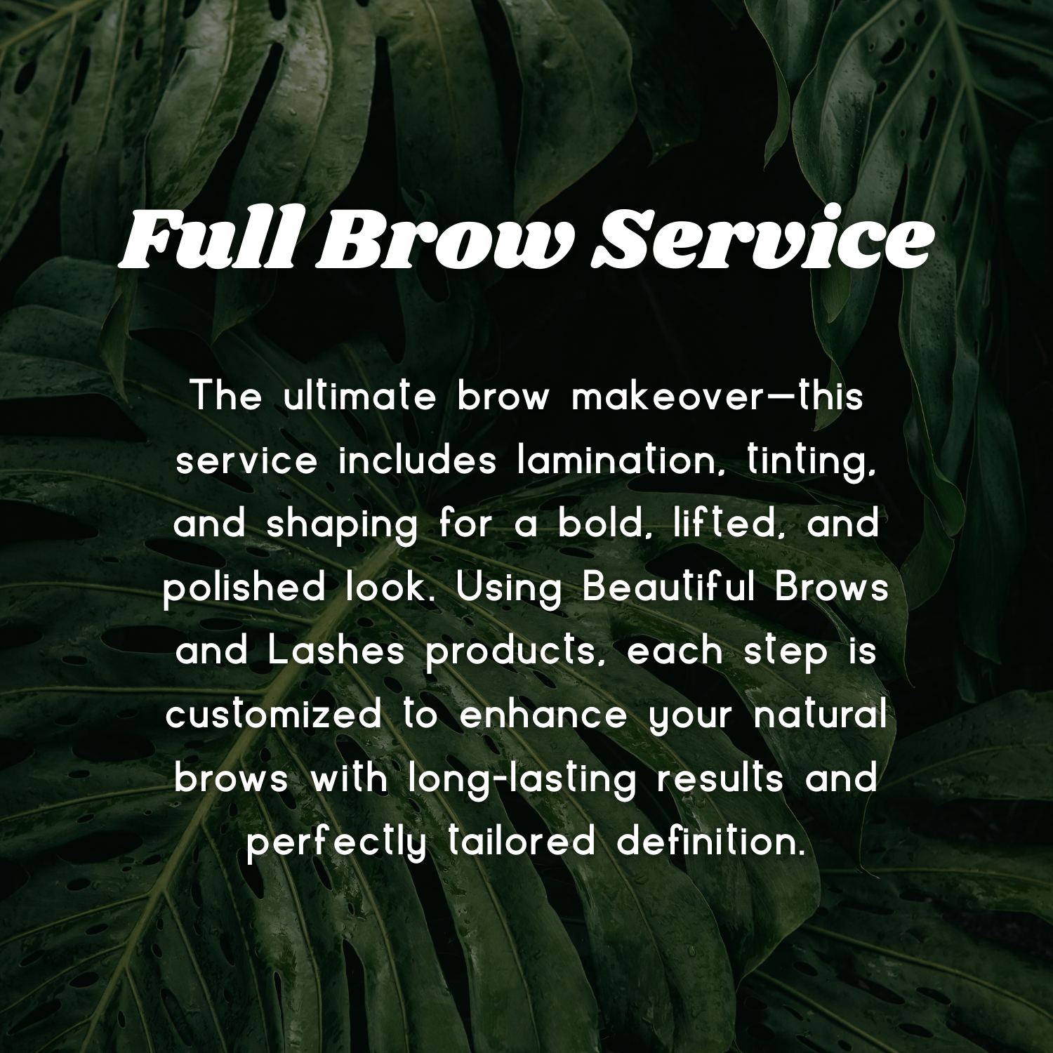 Full Brow Service