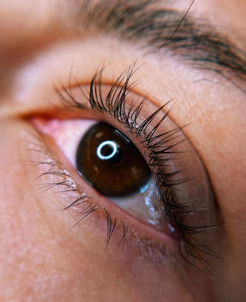 LASH LIFT