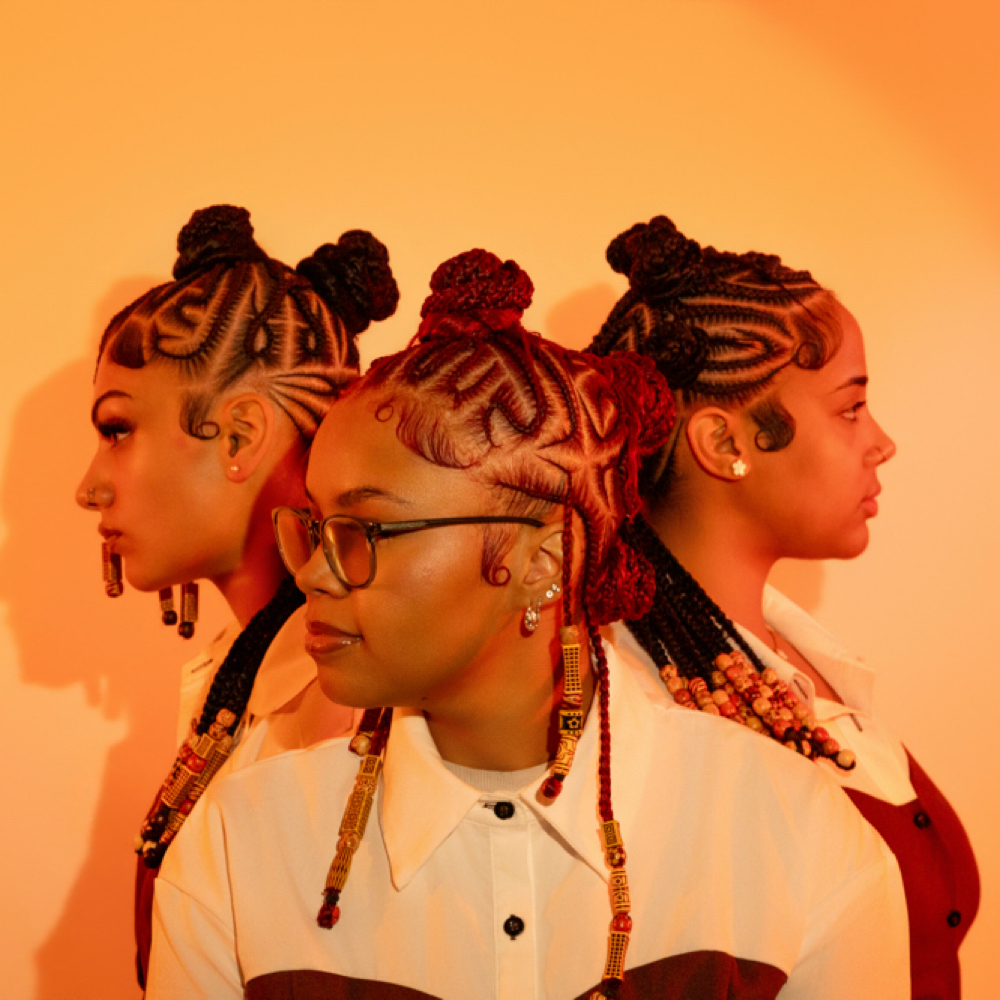 Braided Up Do at Diliaspecialtouch LLC in Dracut, MA