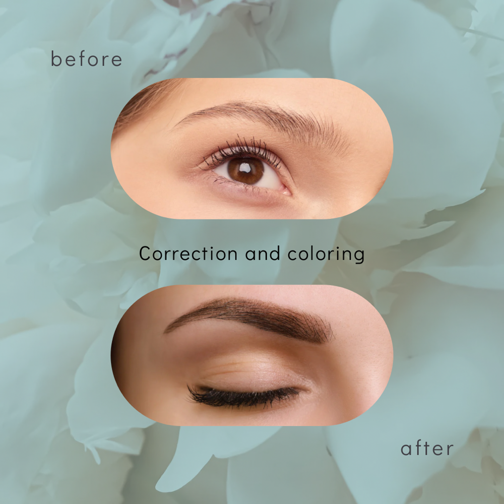 Eyebrwo Tattoo Touchup