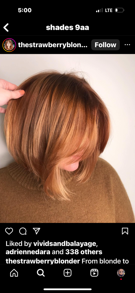 Bang Trim