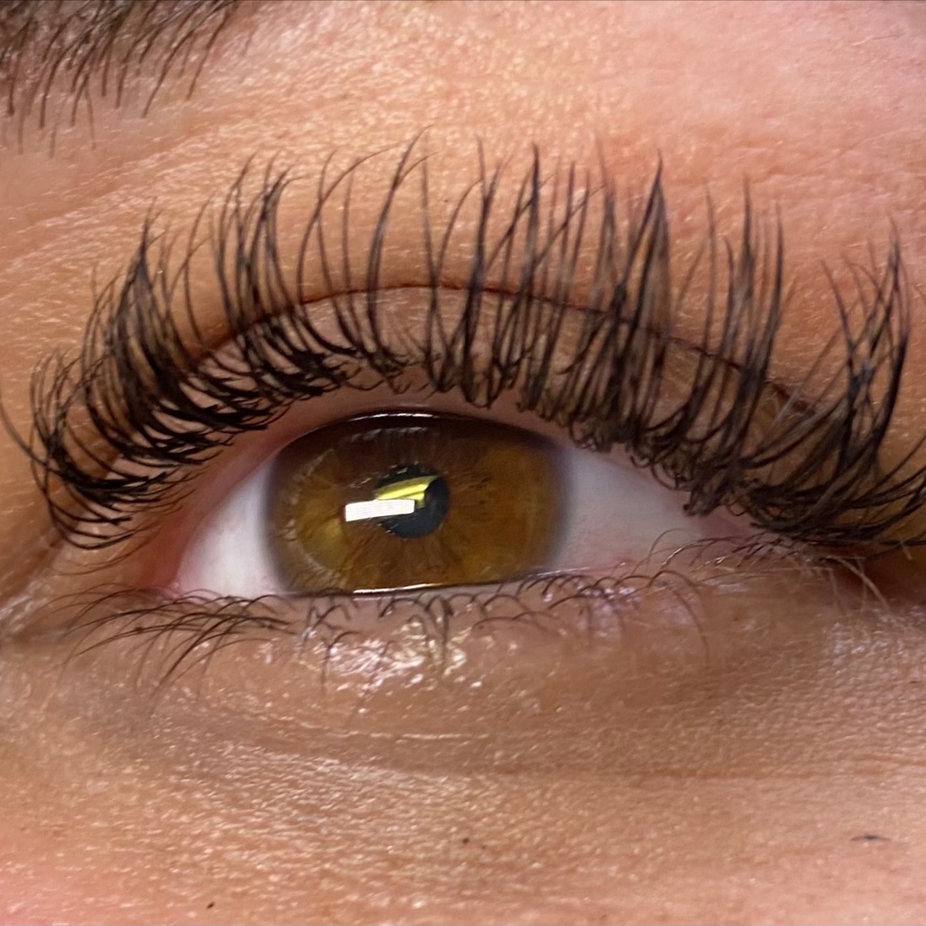 Refill Lashes at Beauty By Stevie D in Livingston, TX