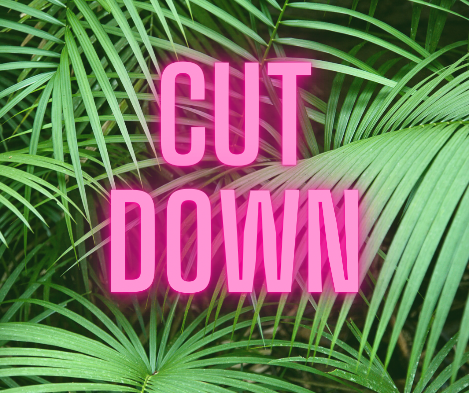 Nail Cutdown