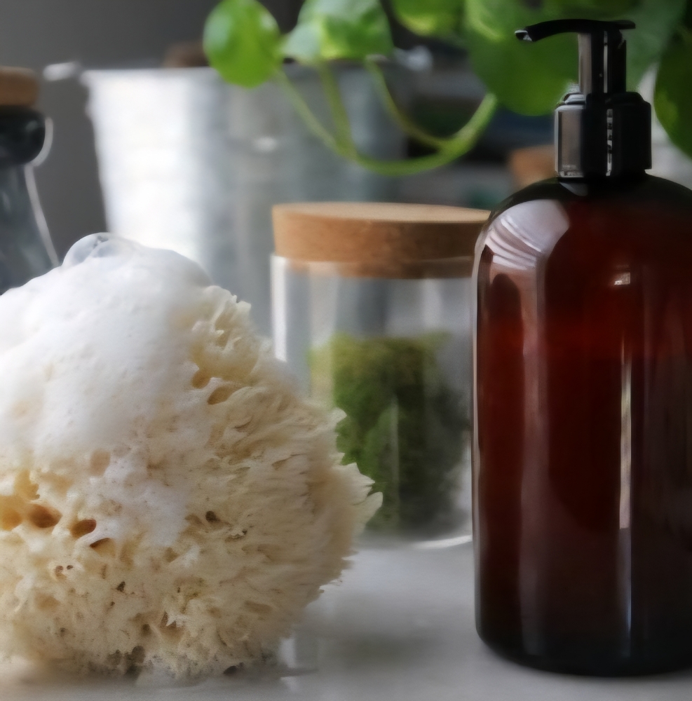 Organic Homemade Body Wash 16.9 Oz