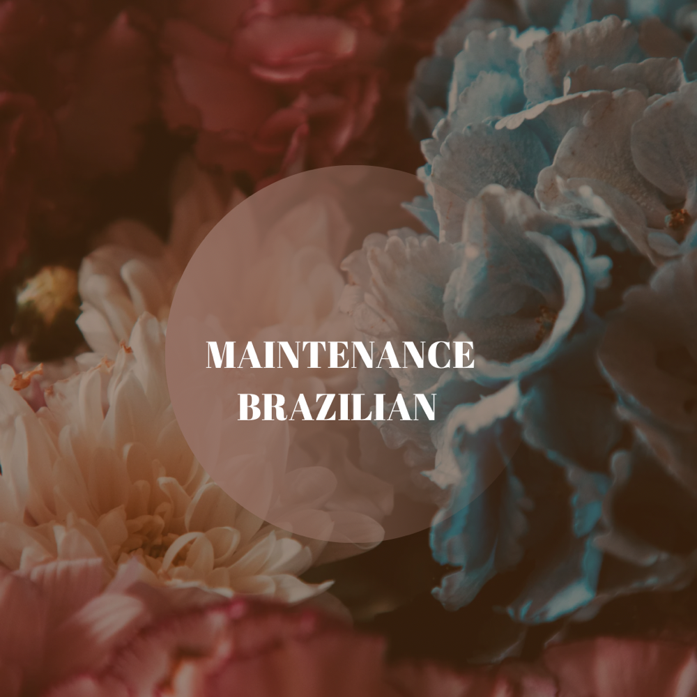 Maintenance Brazilian Wax