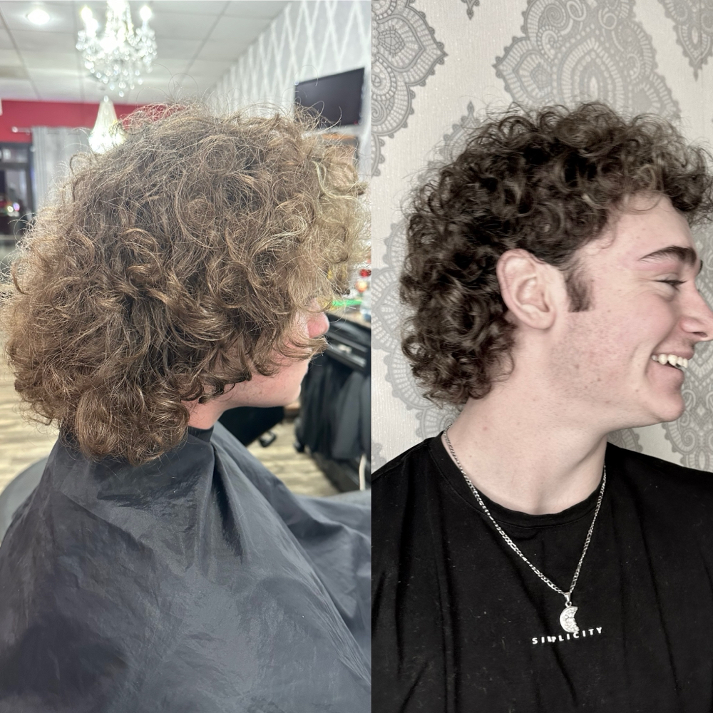 Curly Shampoo/Cut/Style