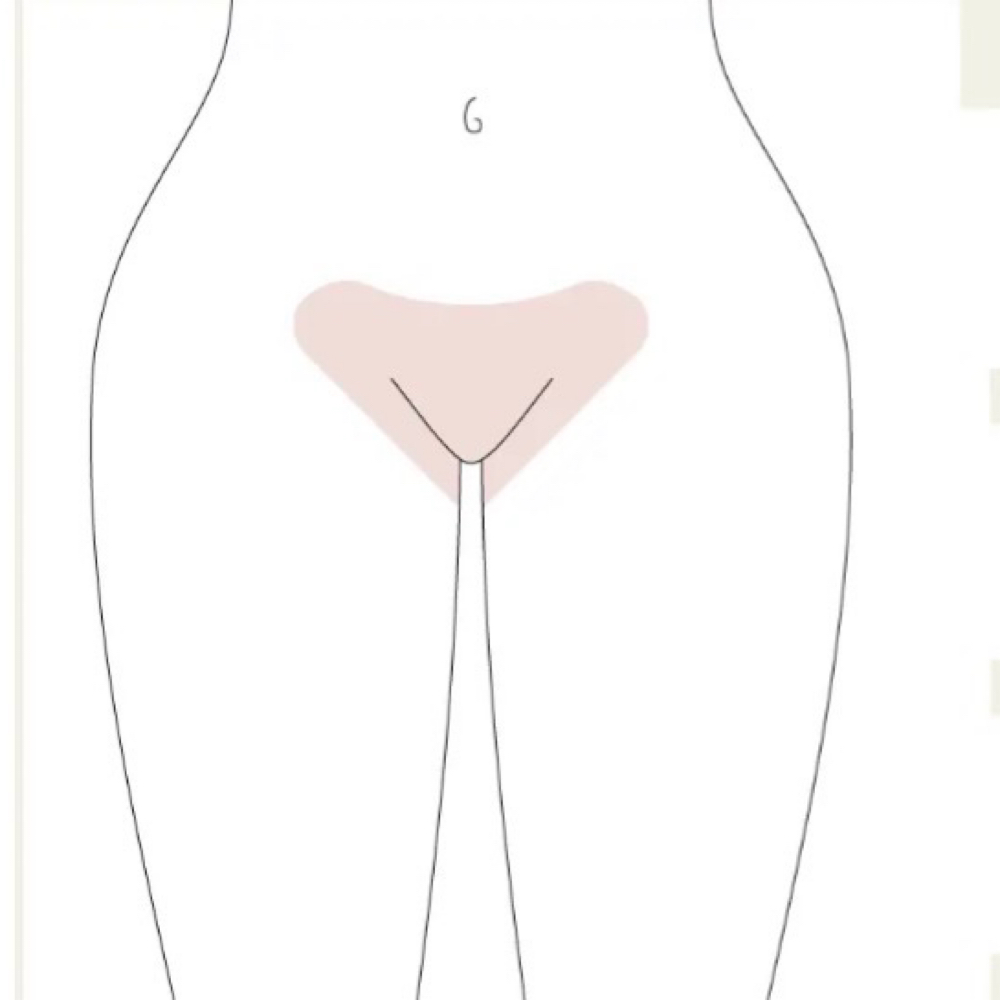 Maintenance Female Brazilian Wax at Esthetics x Evelyn in Bakersfield, CA