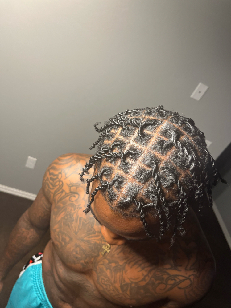 Two Strand Twist