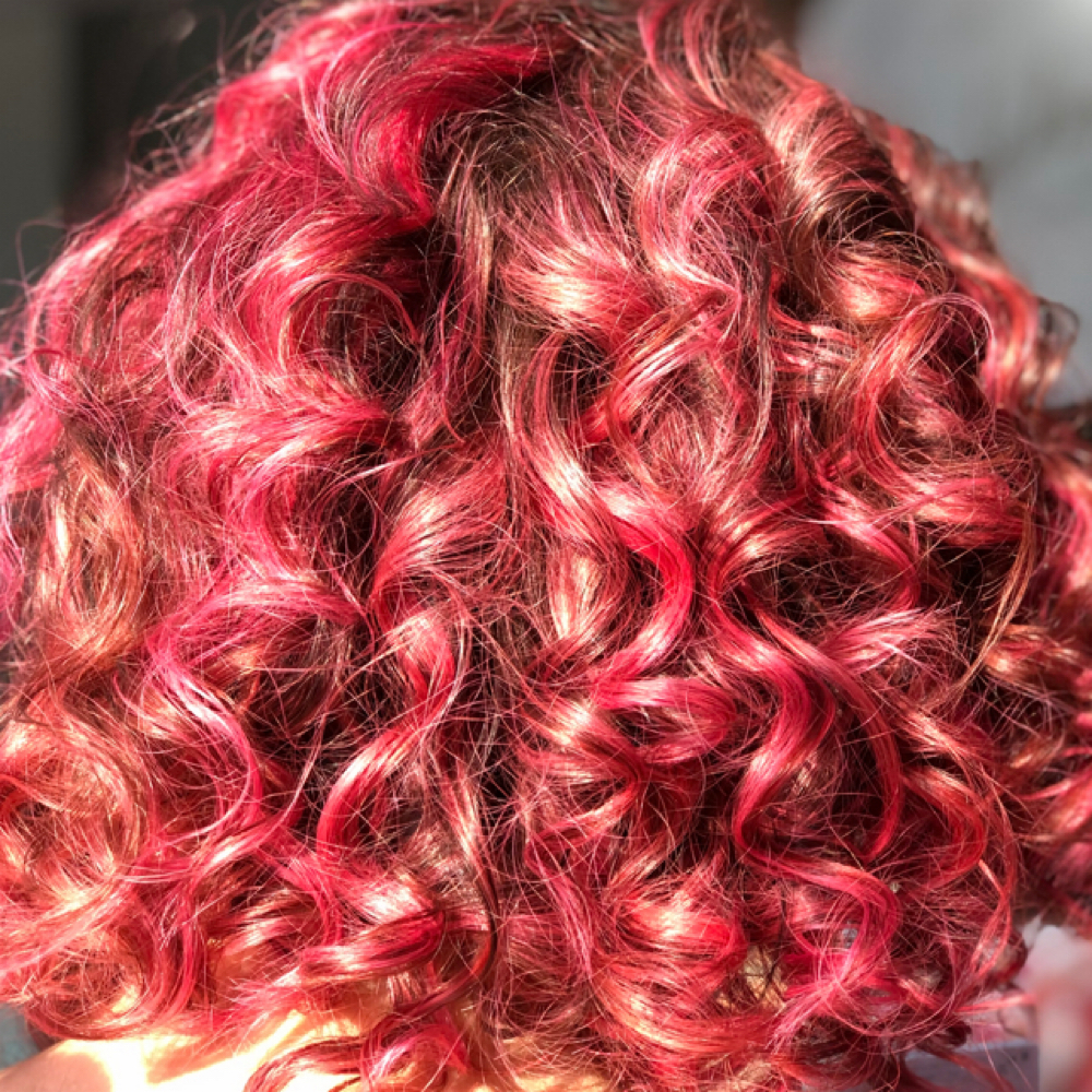 New Client Single Color at KaiEvelyn Hair Studio in Brooklyn, NY