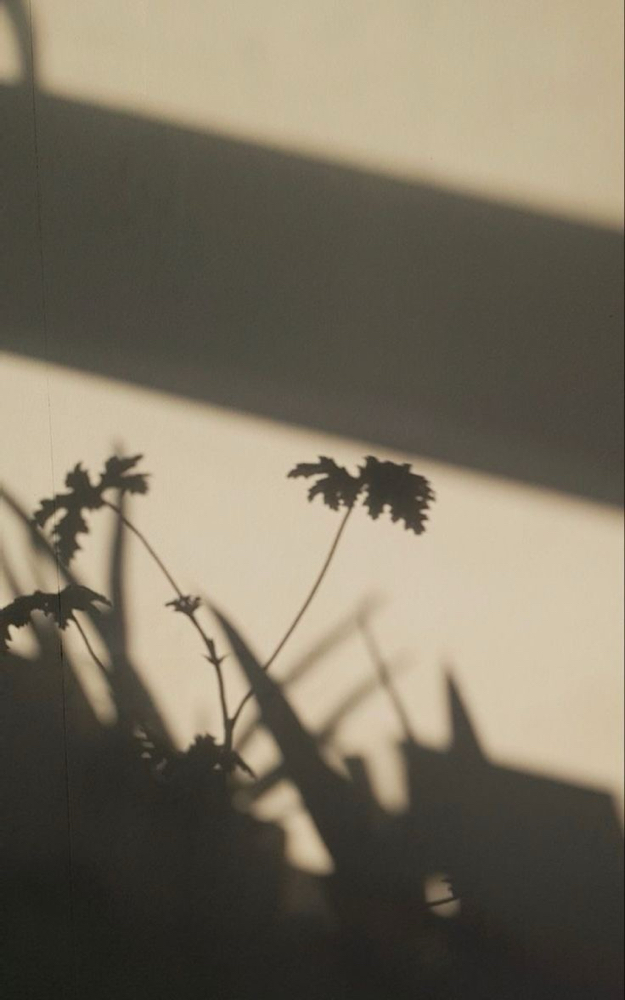 Lip + Brow Wax Combo