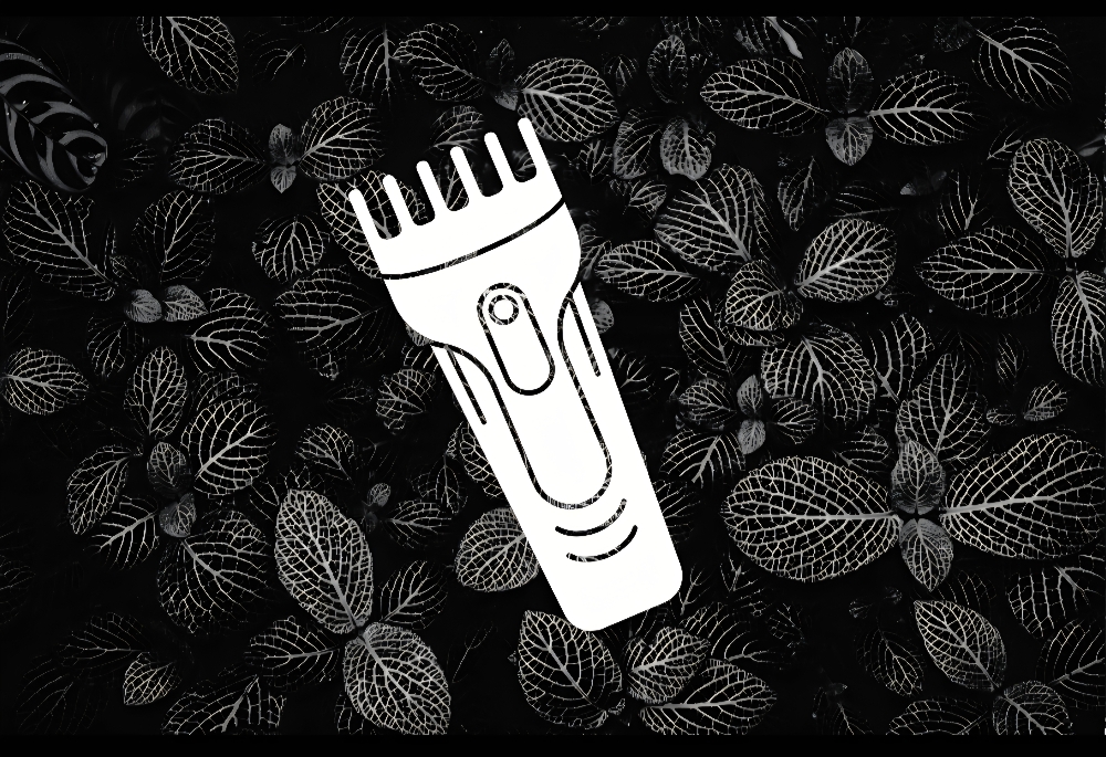 Senior (65 And Wiser)