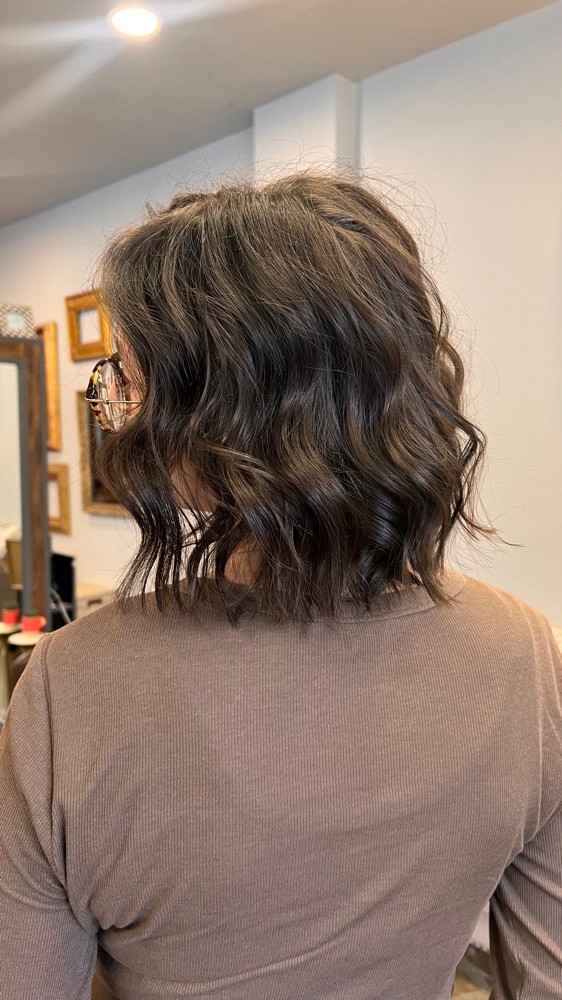 Shampoo Haircut