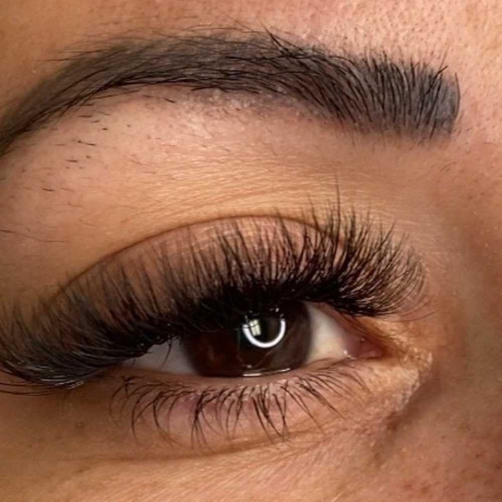 1 Week Hybrid Fill at Lashed Society in South Jordan, UT