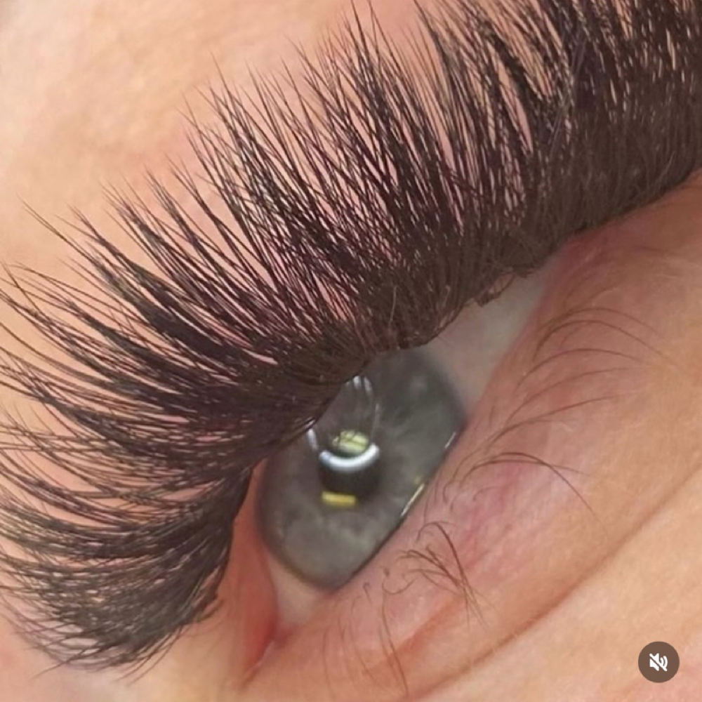 1 Week Hybrid Fill at Lashed Society in South Jordan, UT