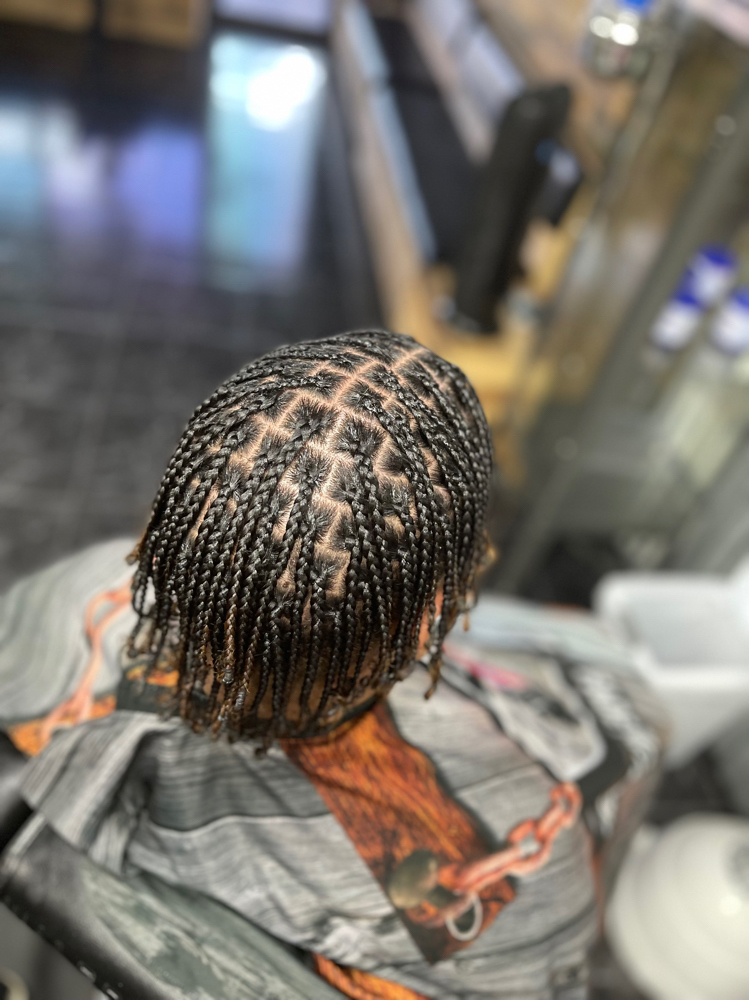Plaits (Small)