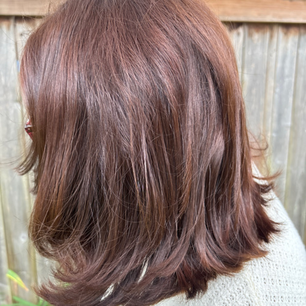 One Color All Over at Wynter Willow Salon in Baraboo, WI